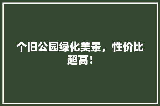 个旧公园绿化美景，性价比超高！