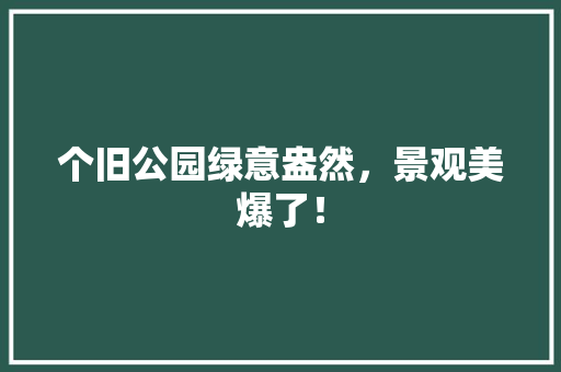 个旧公园绿意盎然，景观美爆了！