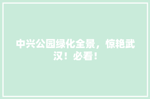 中兴公园绿化全景，惊艳武汉！必看！