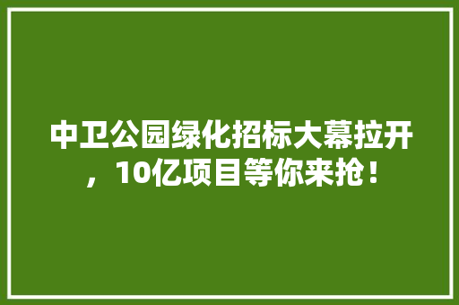 中卫公园绿化招标大幕拉开，10亿项目等你来抢！