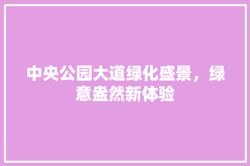 中央公园大道绿化盛景，绿意盎然新体验
