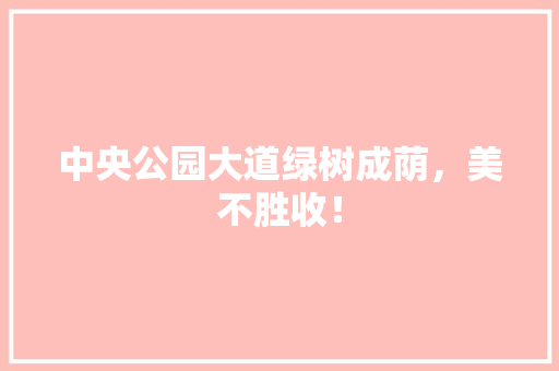 中央公园大道绿树成荫，美不胜收！ 育苗设备