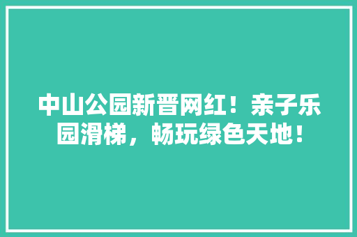 中山公园新晋网红！亲子乐园滑梯，畅玩绿色天地！