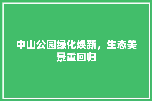 中山公园绿化焕新，生态美景重回归 蔬菜育苗