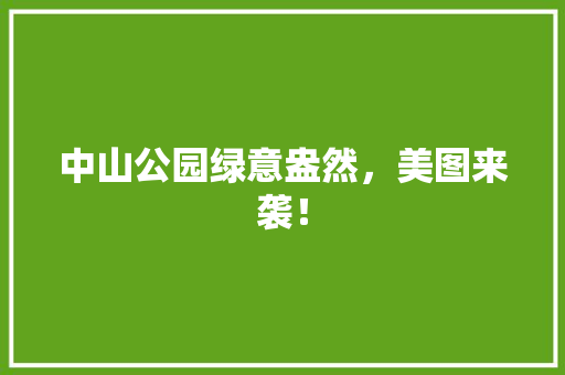 中山公园绿意盎然，美图来袭！