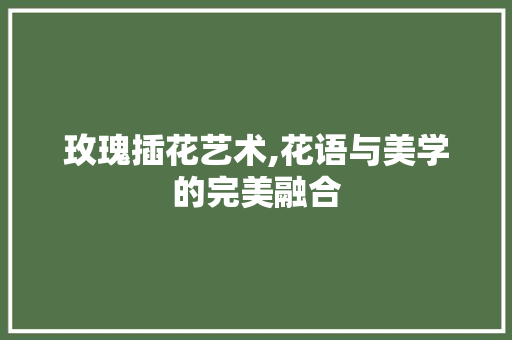 玫瑰插花艺术,花语与美学的完美融合
