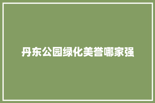 丹东公园绿化美誉哪家强