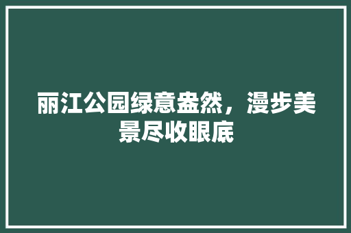 丽江公园绿意盎然，漫步美景尽收眼底