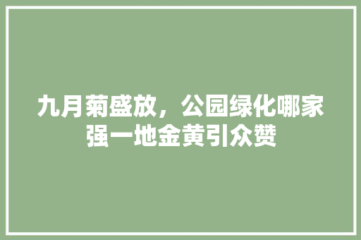 九月菊盛放，公园绿化哪家强一地金黄引众赞