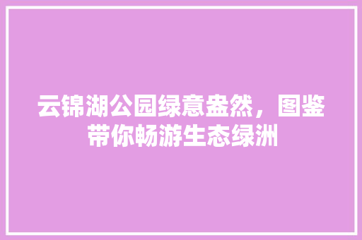 云锦湖公园绿意盎然，图鉴带你畅游生态绿洲