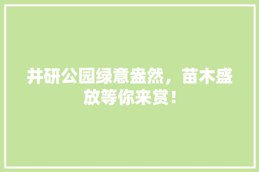 井研公园绿意盎然，苗木盛放等你来赏！