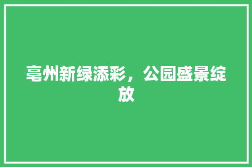 亳州新绿添彩，公园盛景绽放