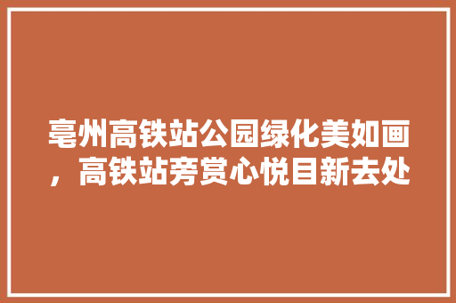 亳州高铁站公园绿化美如画，高铁站旁赏心悦目新去处