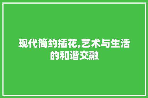 现代简约插花,艺术与生活的和谐交融
