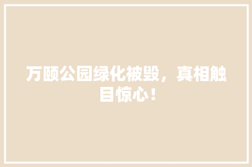 万颐公园绿化被毁，真相触目惊心！