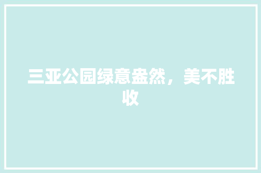 三亚公园绿意盎然，美不胜收