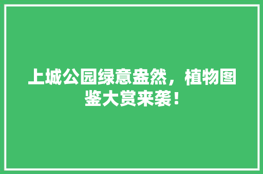 上城公园绿意盎然，植物图鉴大赏来袭！