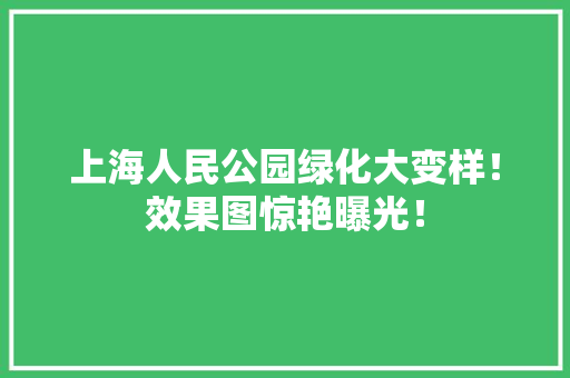 上海人民公园绿化大变样！效果图惊艳曝光！