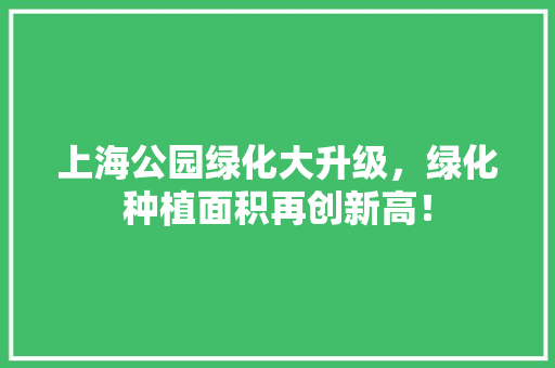 上海公园绿化大升级，绿化种植面积再创新高！