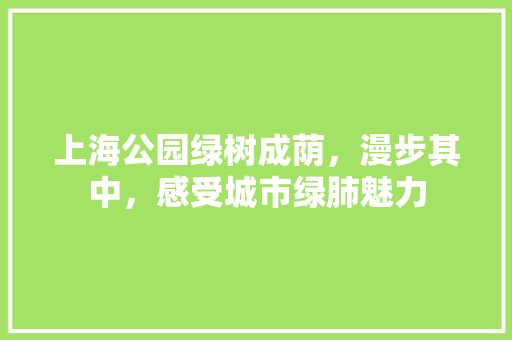 上海公园绿树成荫，漫步其中，感受城市绿肺魅力