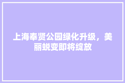 上海奉贤公园绿化升级，美丽蜕变即将绽放