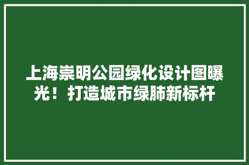 上海崇明公园绿化设计图曝光！打造城市绿肺新标杆