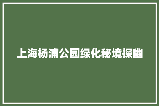 上海杨浦公园绿化秘境探幽