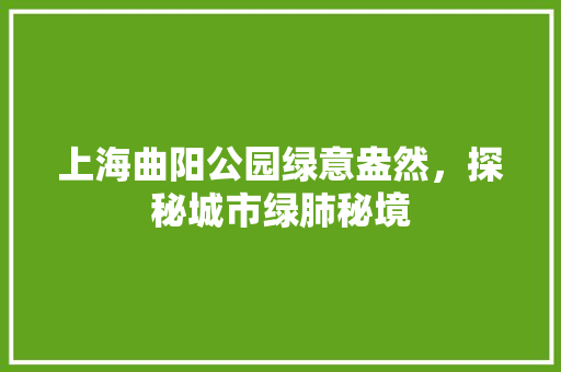 上海曲阳公园绿意盎然，探秘城市绿肺秘境