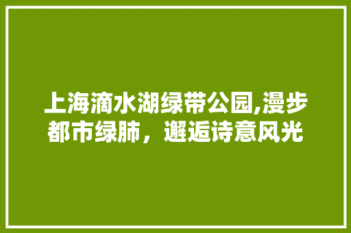 上海滴水湖绿带公园,漫步都市绿肺，邂逅诗意风光