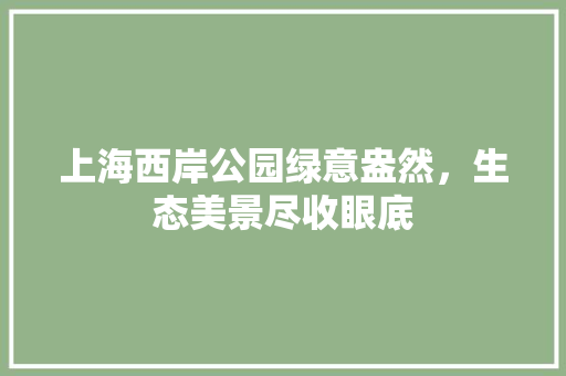 上海西岸公园绿意盎然，生态美景尽收眼底
