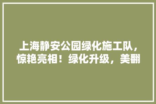 上海静安公园绿化施工队，惊艳亮相！绿化升级，美翻你的朋友圈！
