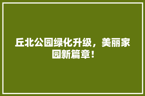 丘北公园绿化升级，美丽家园新篇章！