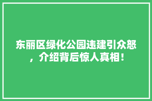 东丽区绿化公园违建引众怒，介绍背后惊人真相！