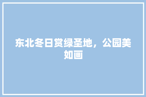 东北冬日赏绿圣地，公园美如画