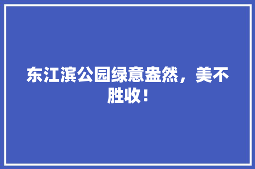 东江滨公园绿意盎然，美不胜收！