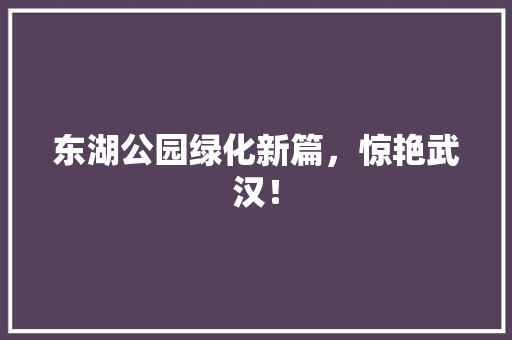 东湖公园绿化新篇，惊艳武汉！