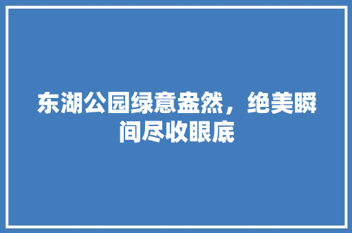 东湖公园绿意盎然，绝美瞬间尽收眼底