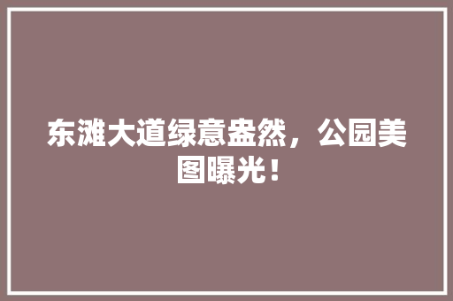 东滩大道绿意盎然，公园美图曝光！