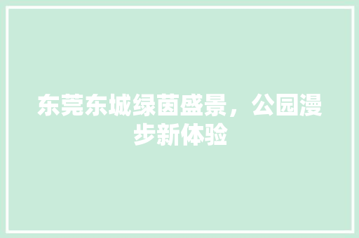 东莞东城绿茵盛景，公园漫步新体验