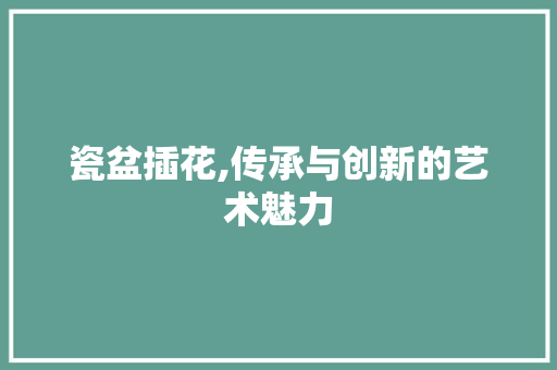 瓷盆插花,传承与创新的艺术魅力