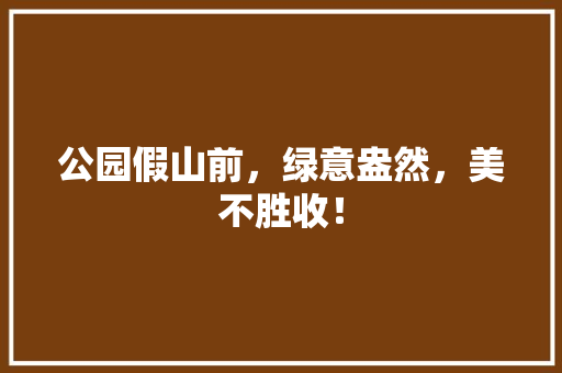 公园假山前，绿意盎然，美不胜收！