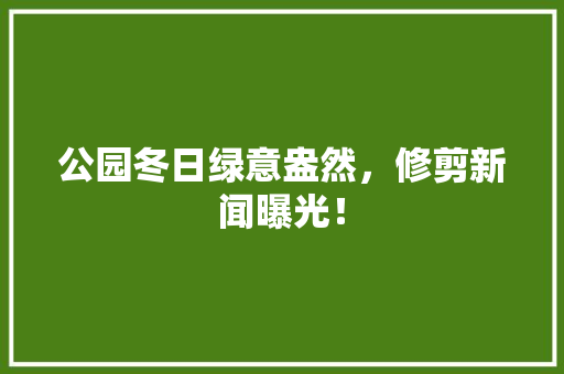 公园冬日绿意盎然，修剪新闻曝光！