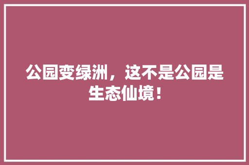 公园变绿洲，这不是公园是生态仙境！