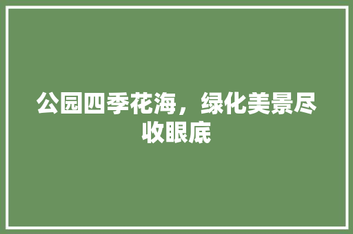 公园四季花海，绿化美景尽收眼底