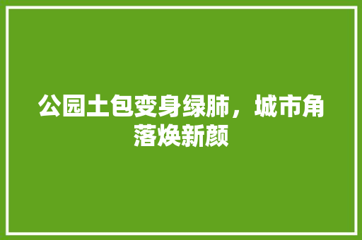 公园土包变身绿肺，城市角落焕新颜