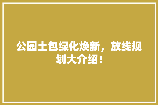 公园土包绿化焕新，放线规划大介绍！