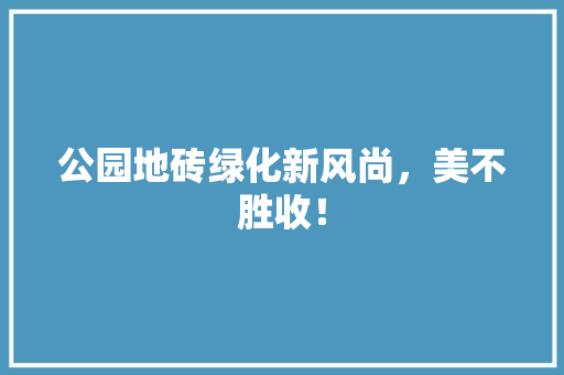公园地砖绿化新风尚，美不胜收！