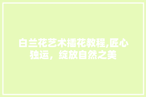 白兰花艺术插花教程,匠心独运，绽放自然之美