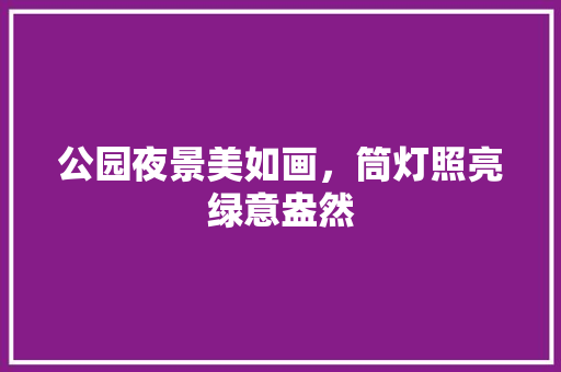 公园夜景美如画，筒灯照亮绿意盎然