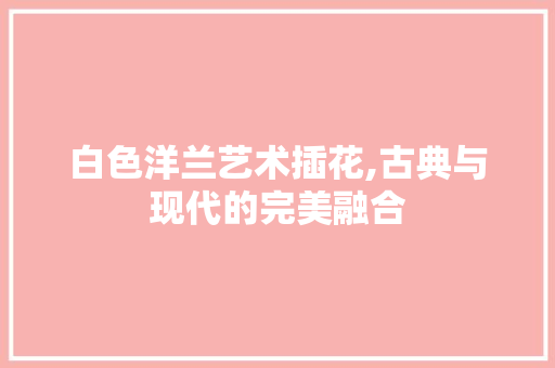 白色洋兰艺术插花,古典与现代的完美融合